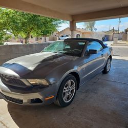 2010 Ford Mustang
