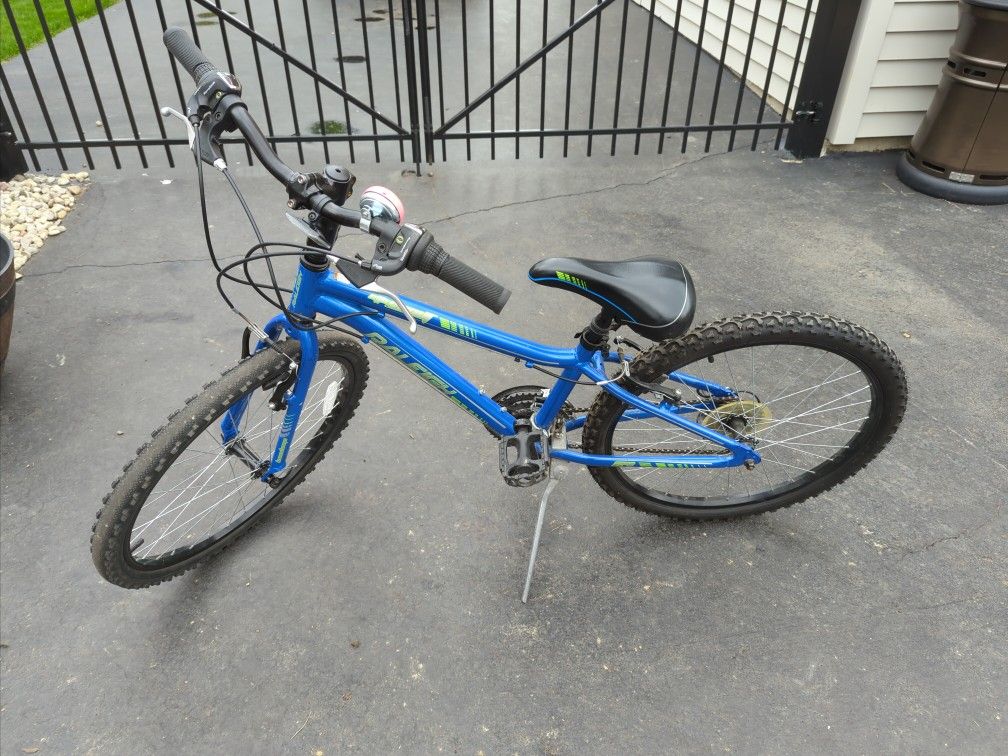 Raleigh Speed 20 In Bike