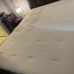 Avocado Green Queen Mattress – Organic & Barely Used(under 1 Yr)