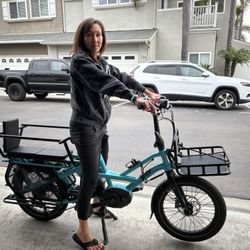 Pedego EBike (originally $5000) Carries 2 Kids Up D Street