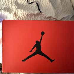 Air Jordan 6 Toro Bravo 