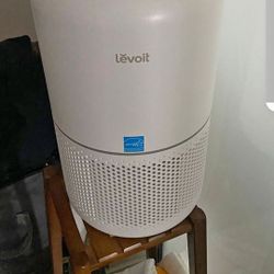 levoit 300 air purifier
- Anti Allergy