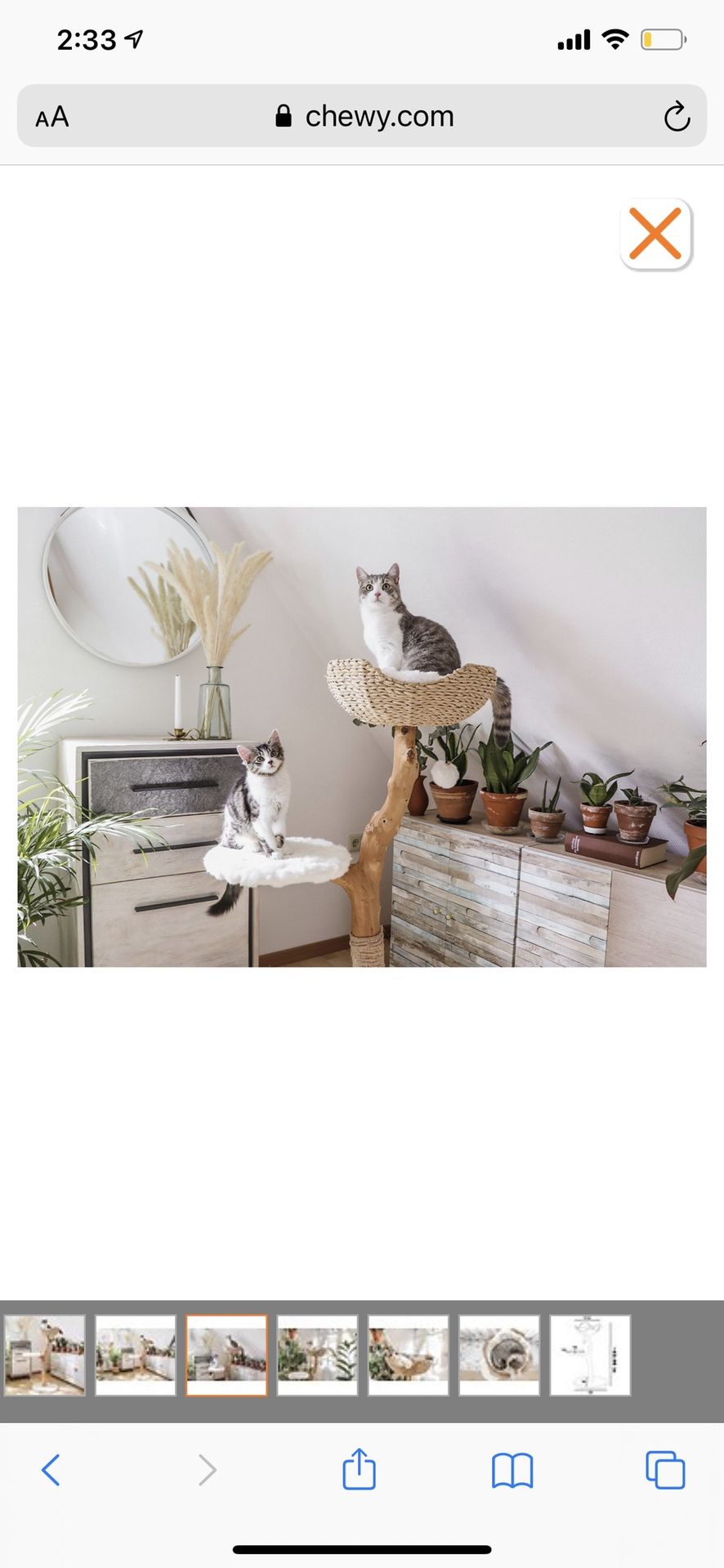 Cat Tree