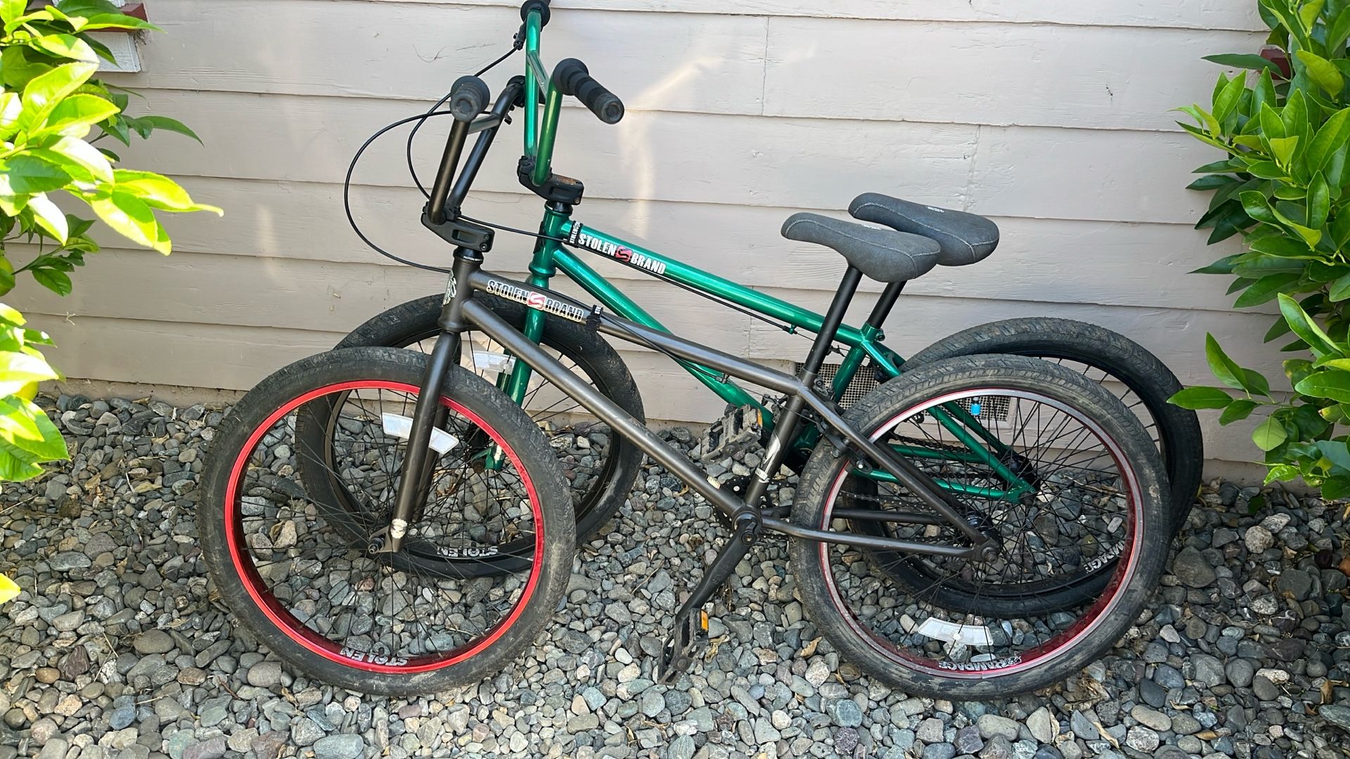 Pair Of Bikes