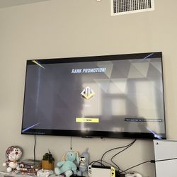 55 Inch Flat Screen 