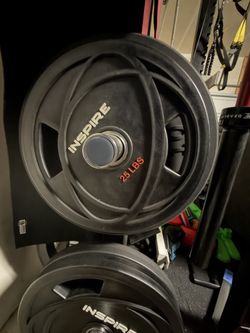 Gym Equipment