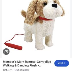 Members Mark Walking Dog
