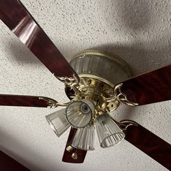 Ceiling fan