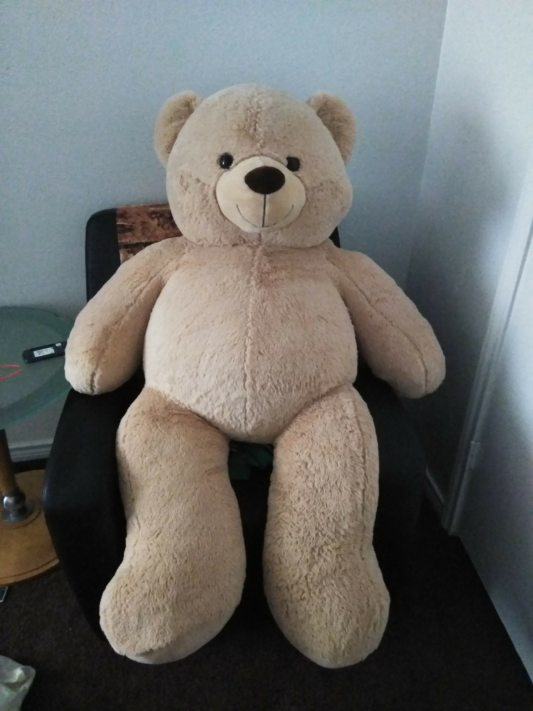 Giant teddy bear bought recently