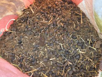 Goat manure