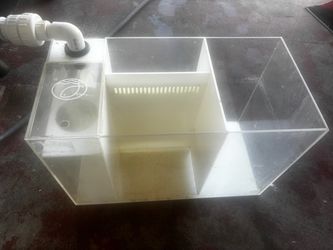 Sump Acuarium