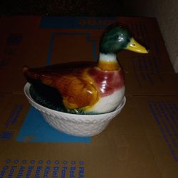 Duck In Your Kitchen 