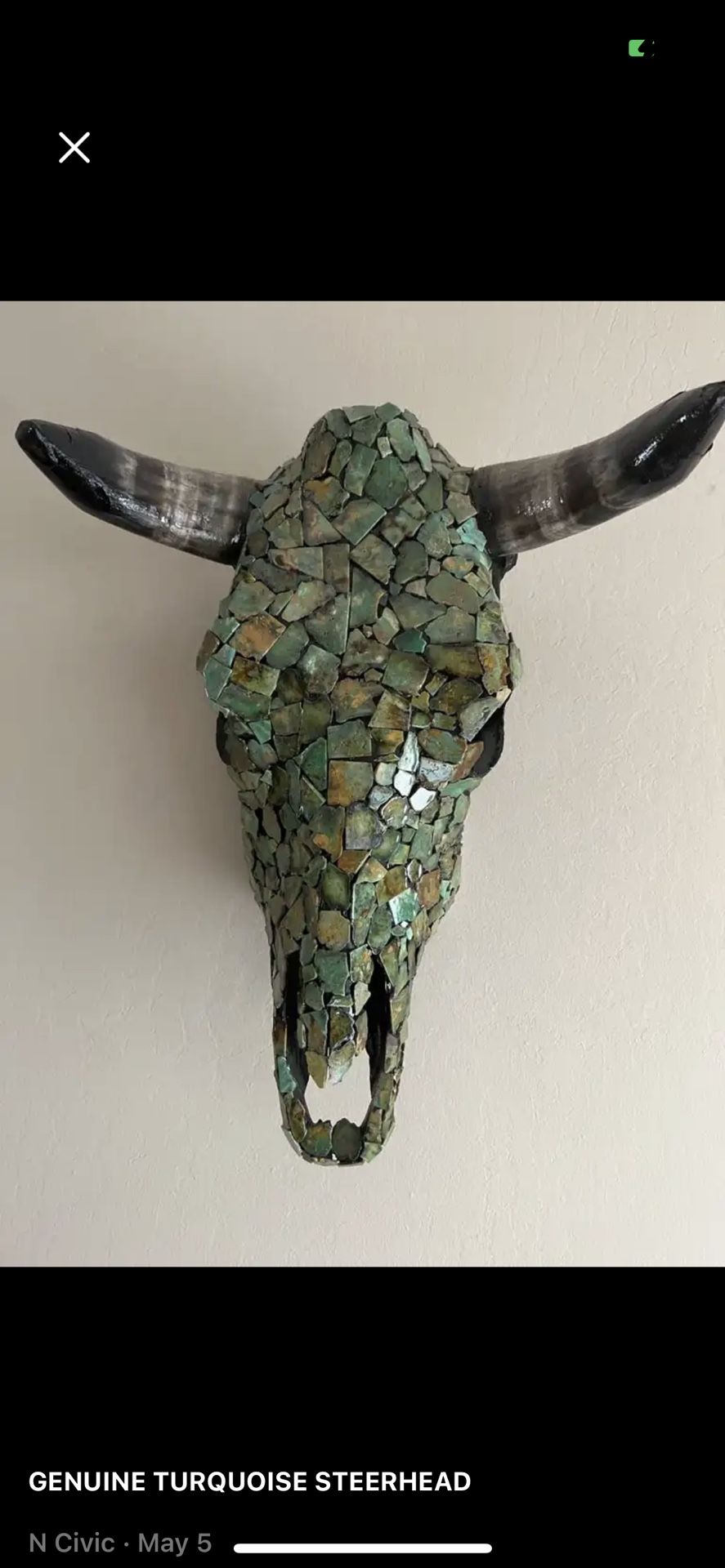 Genuine Turquoise STEERHEAD