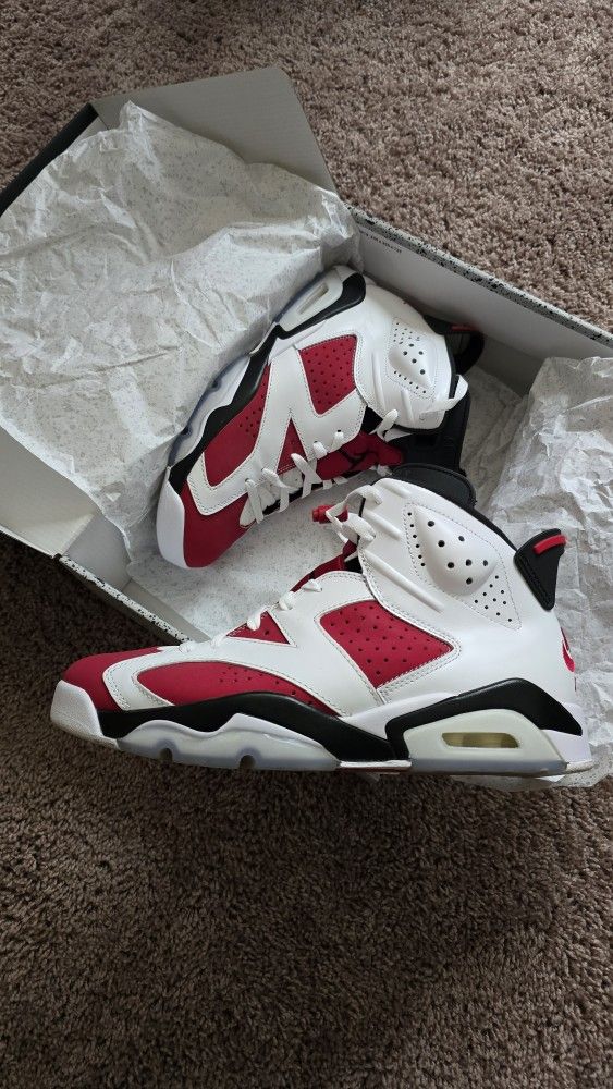 Air Jordan 6 Carmine Size 9.5 Men's 