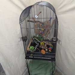 Bird Cage With Stand