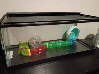 Hampster Tank