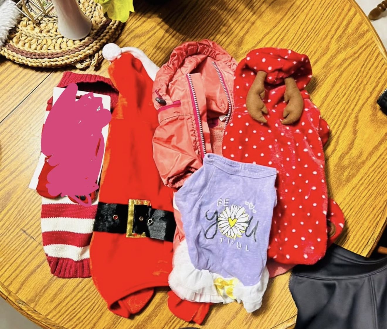 Small Dog Clothes
