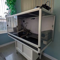 Bearded Dragon Bundle