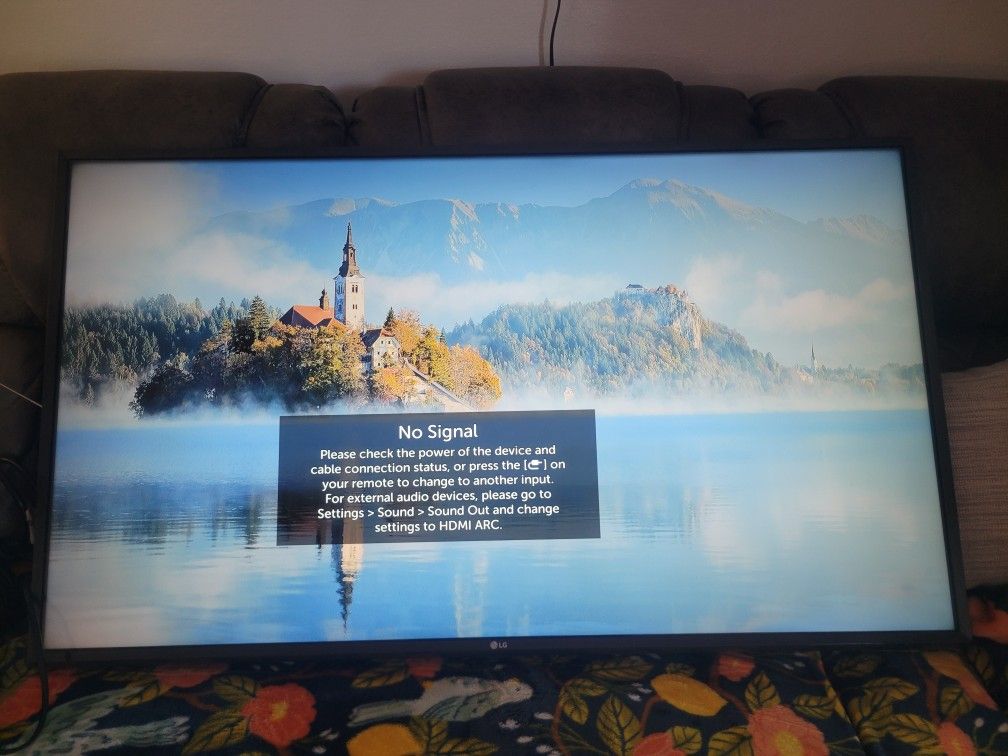LG 50" TV