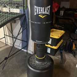 Everlast Punching Bag
