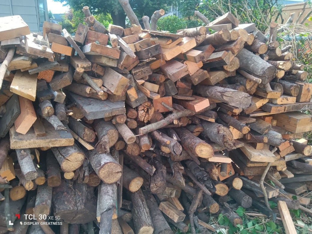 Free Dry. Not Rotten Firewood