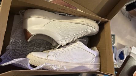 Steven madden sneakers