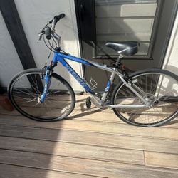 Trek bike
