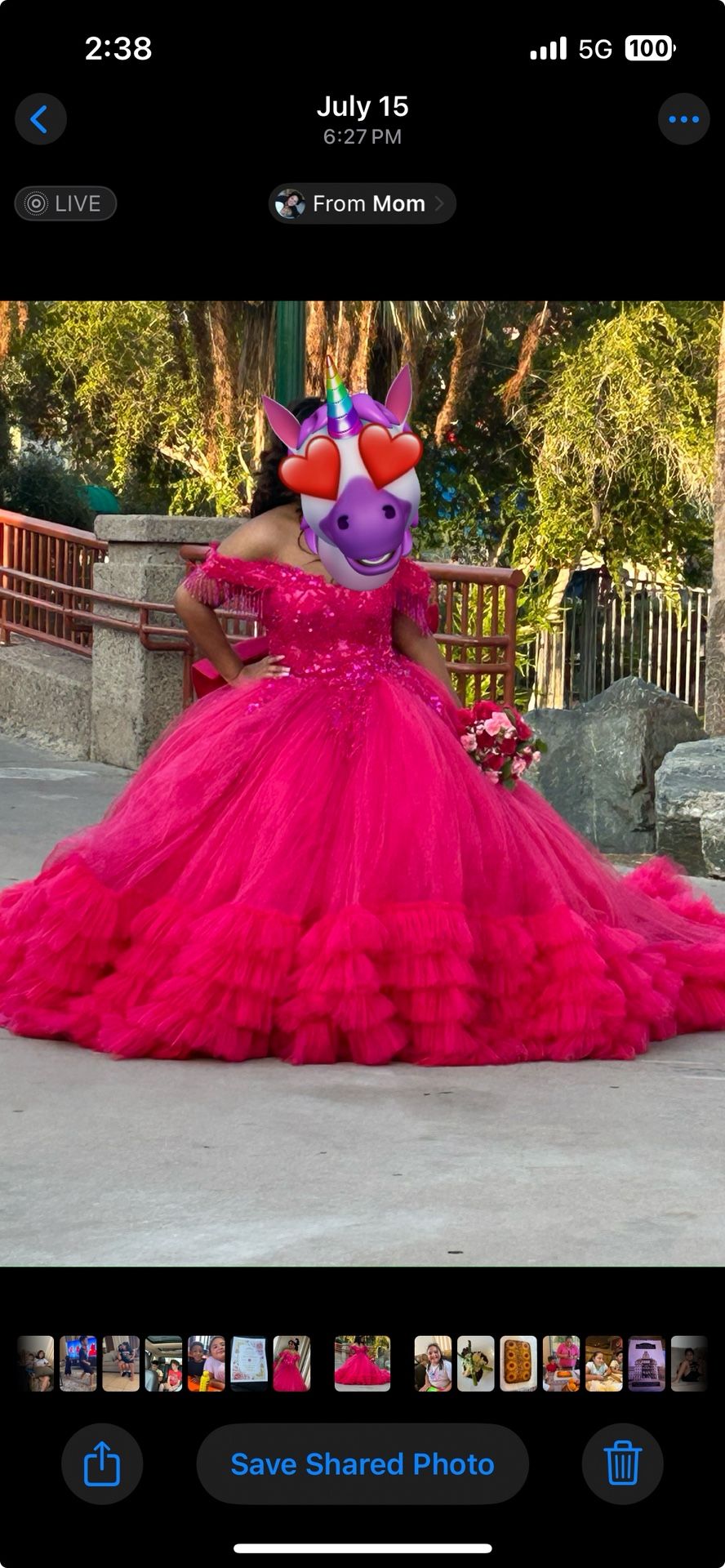 Quinceanera Dress 