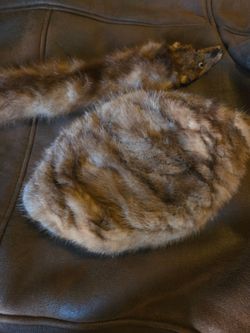Vintage Mink fur