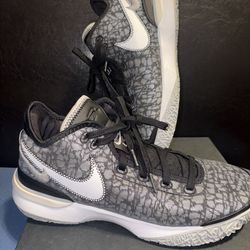 Nike Zoom LeBron “NXXT Gen”