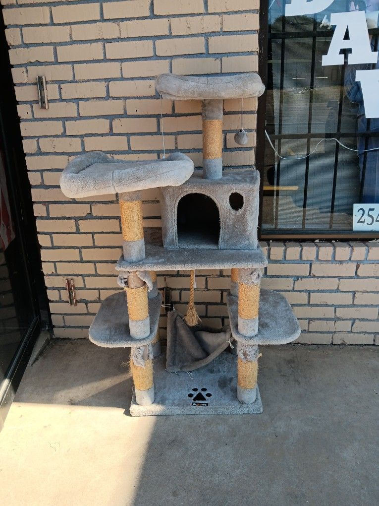 Cat Post 
