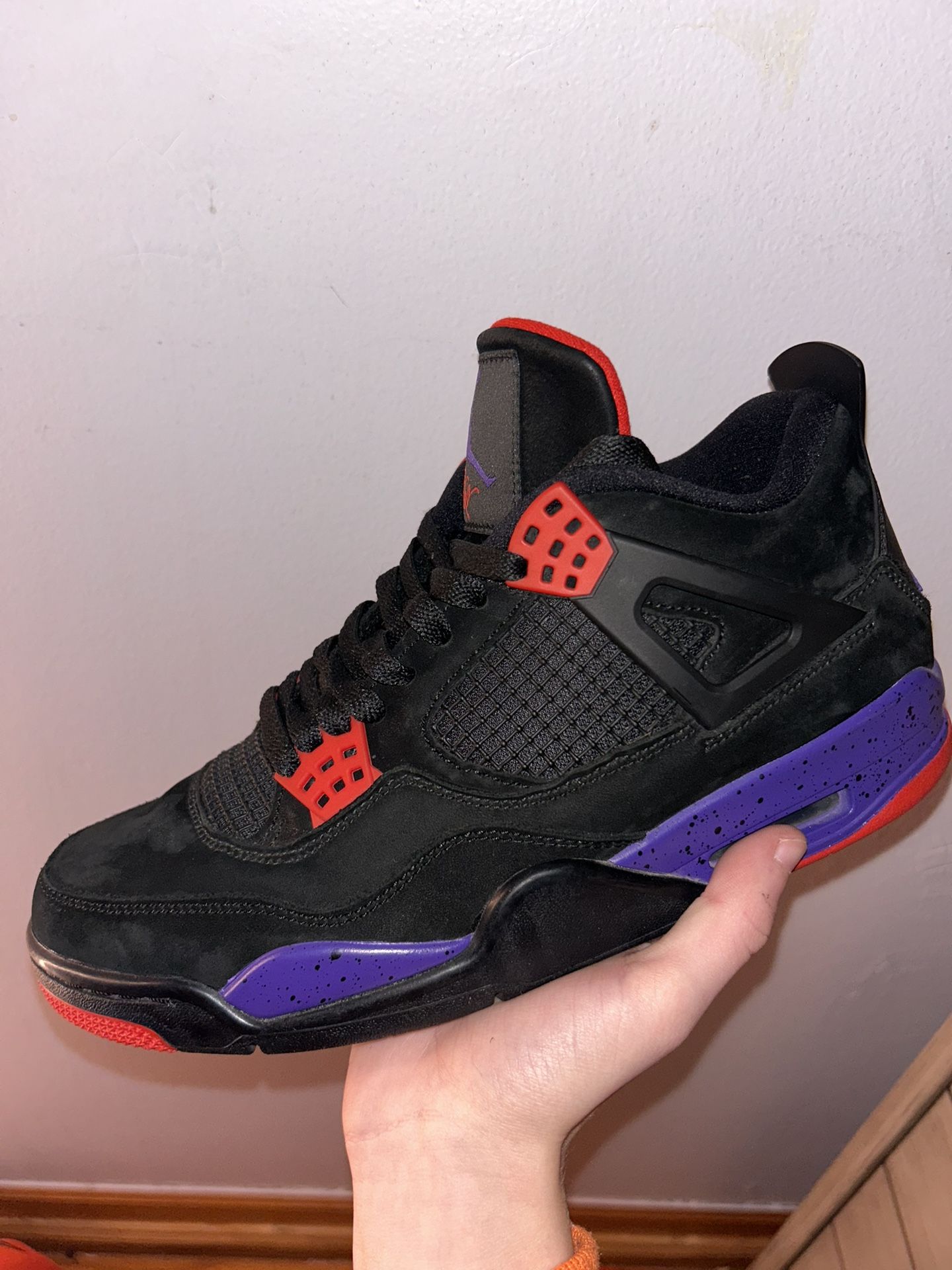 Jordan 4 Raptor Ovo