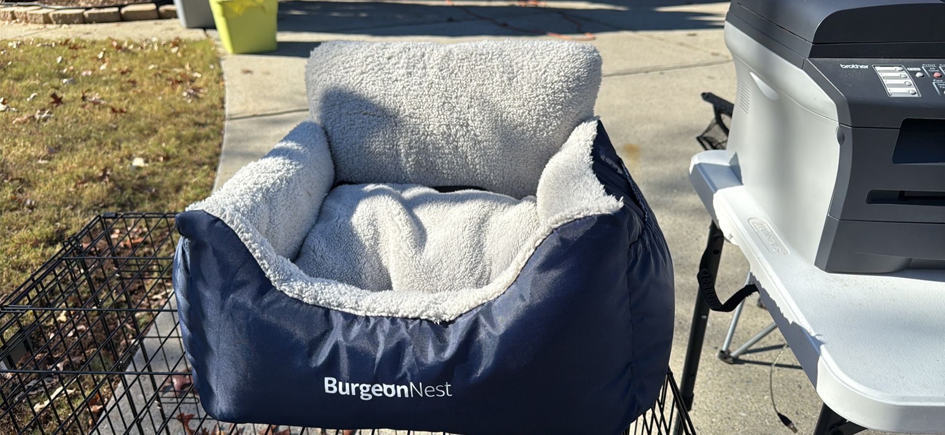 Small Dog Car Craftier/seat Belt