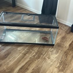 Reptile Enclosure 