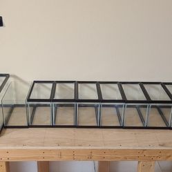 11 Fish Tanks 2.5 Gallon, 5 Gallon, 10 Gallon