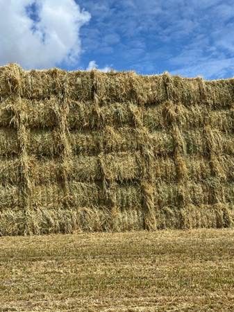 Oat Hay - Big Bales