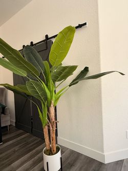6-Ft Realistic Artificial Banana Tree with White Planter & Stand