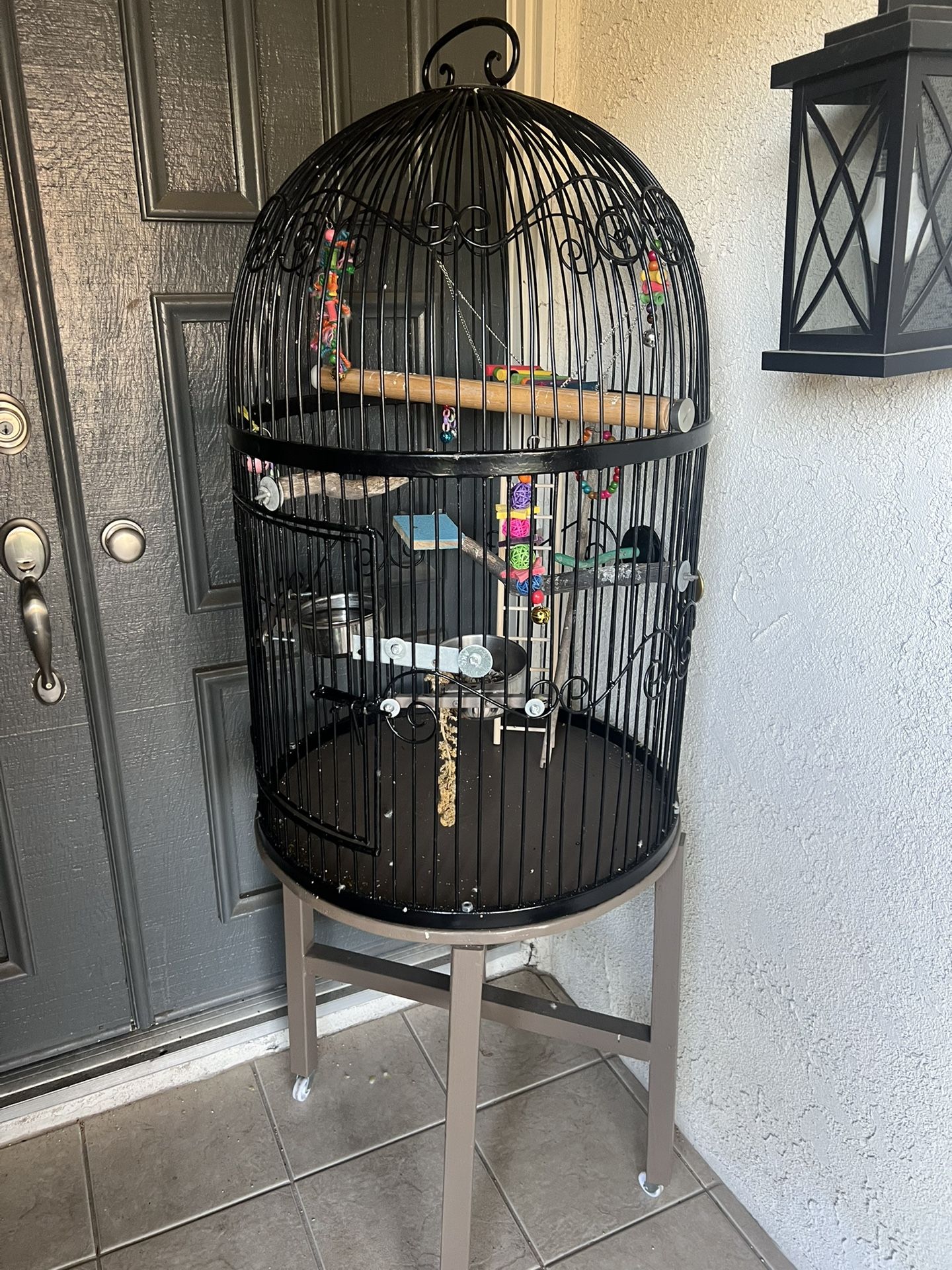 Bird Cage