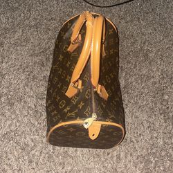 LV Speedy bag