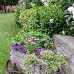 Flower Garden Pots 🪴