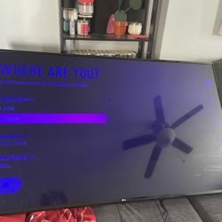 65 Inch LG TV
