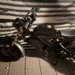 Asgurd E Bike 35.6 Miles Per Hour 