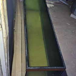 55 gallon aquarium/terrarium