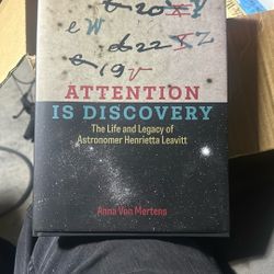 Attention Is Discovery