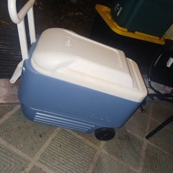 2 LARG IGLO COOLERS 60QT 15 EACH LIKE NEW 