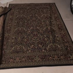 Area rug 6ft by 8ft clean- no stains