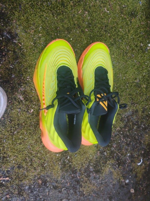 Nike's Gianni's Immortality 4 Basketball Shoes