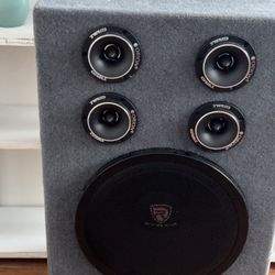 Custom Car Speaker