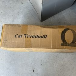 Cat Treadmill