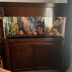 75 Gallon Aquarium